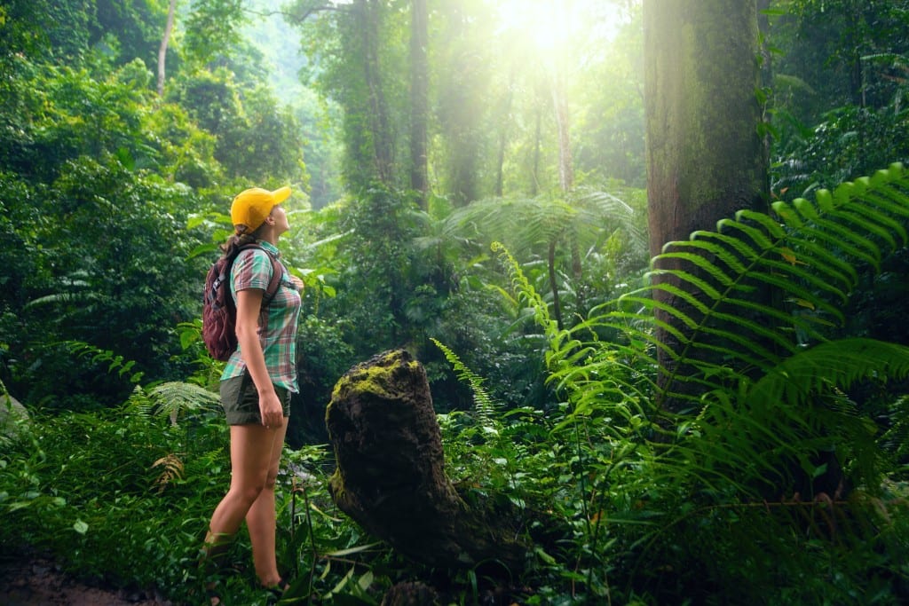 Sustainable Getaways: Embracing Eco-Friendly Tourism Practices