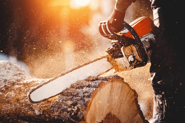 The Best Chain for Chainsaw Use: Top Picks in 2025